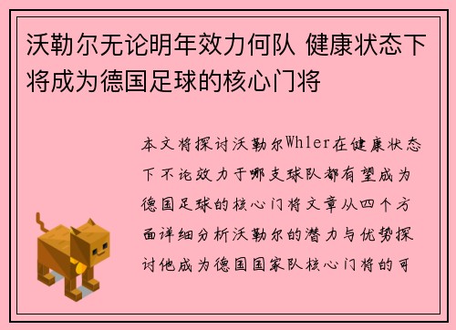沃勒尔无论明年效力何队 健康状态下将成为德国足球的核心门将